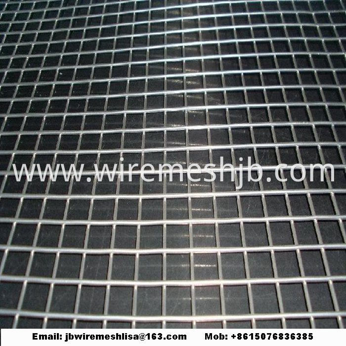 Hot-dip Galvanized Welded Wire Mesh Panel